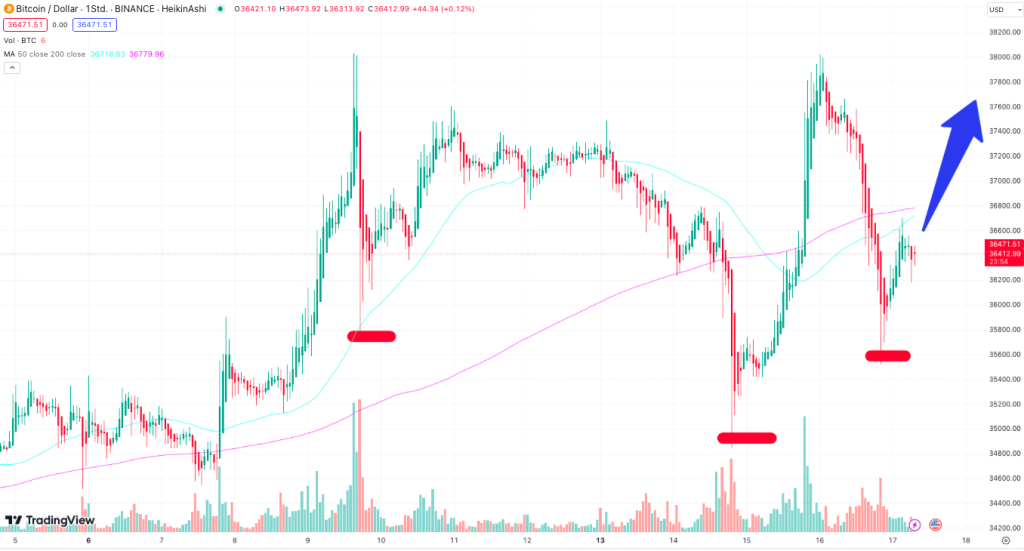 Bitcoin Stundenchart