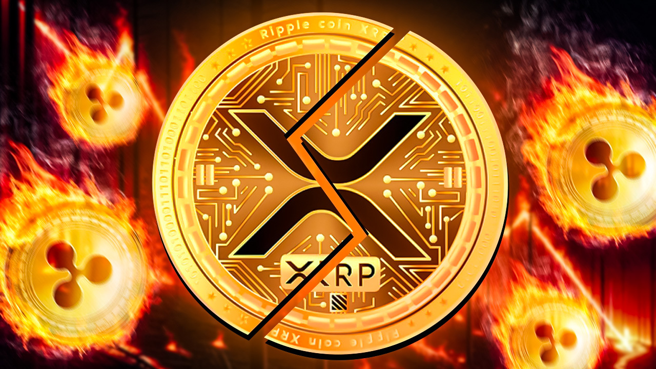 XRP Crash