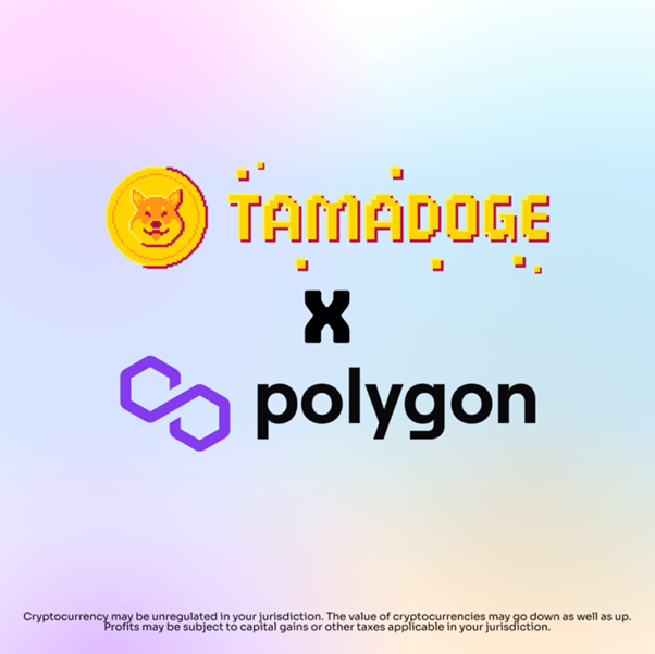 Tamadoge-Polygon