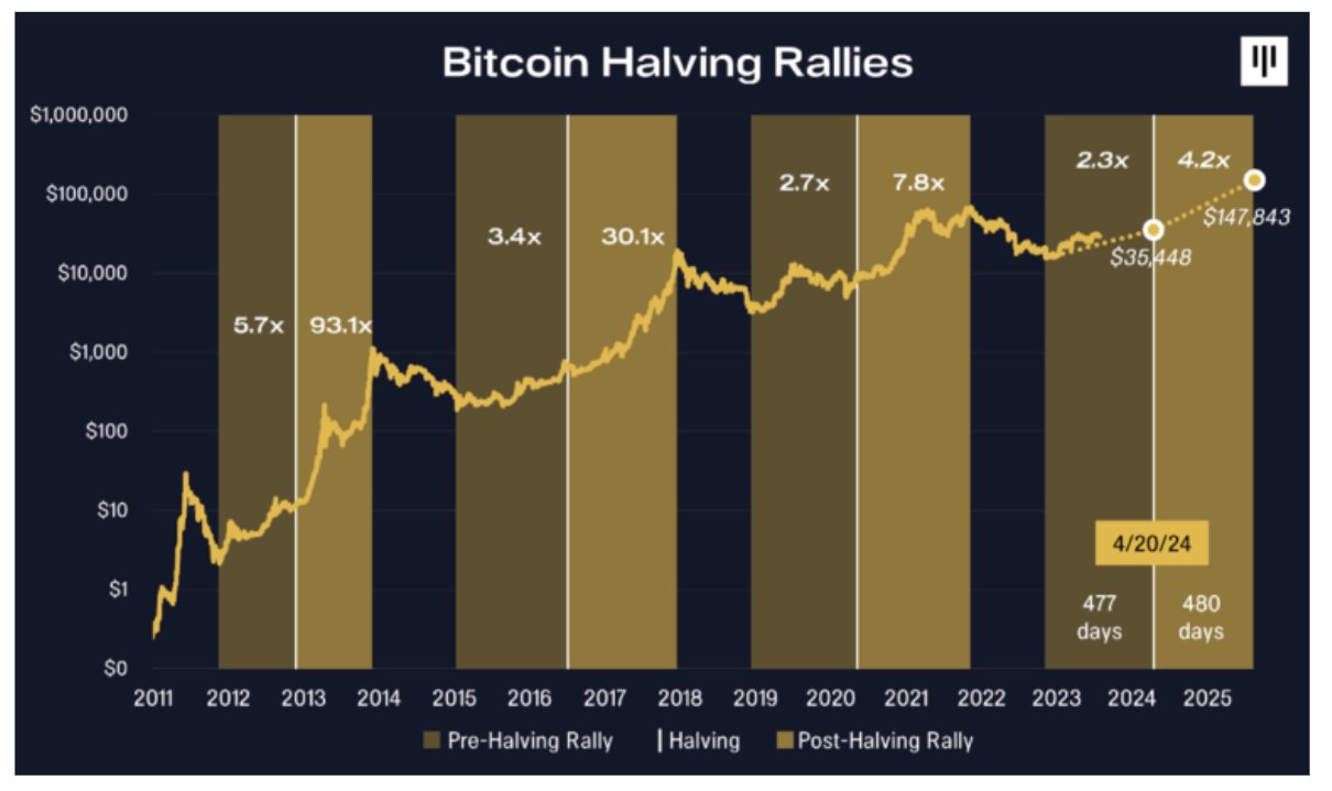 Bitcoin Halving Rallies