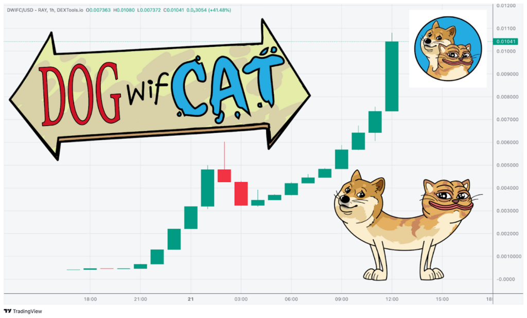 DogWifCat Chart