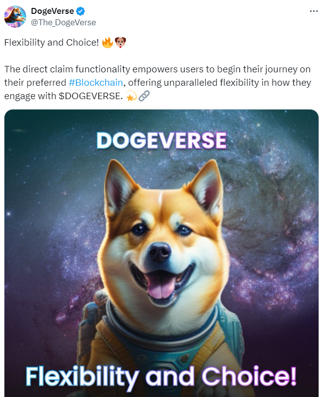 Dogeverse Post auf X