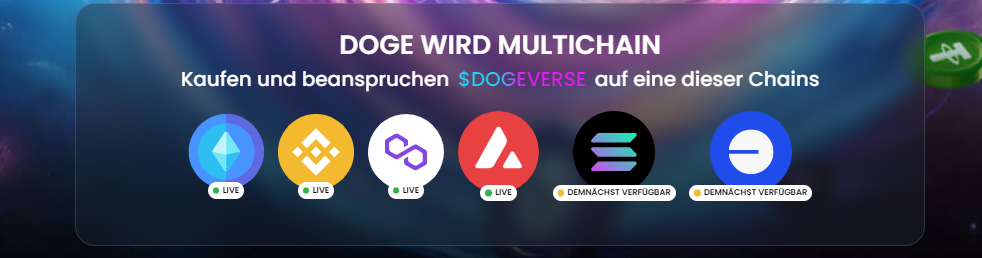 Dogeverse Multi Chain