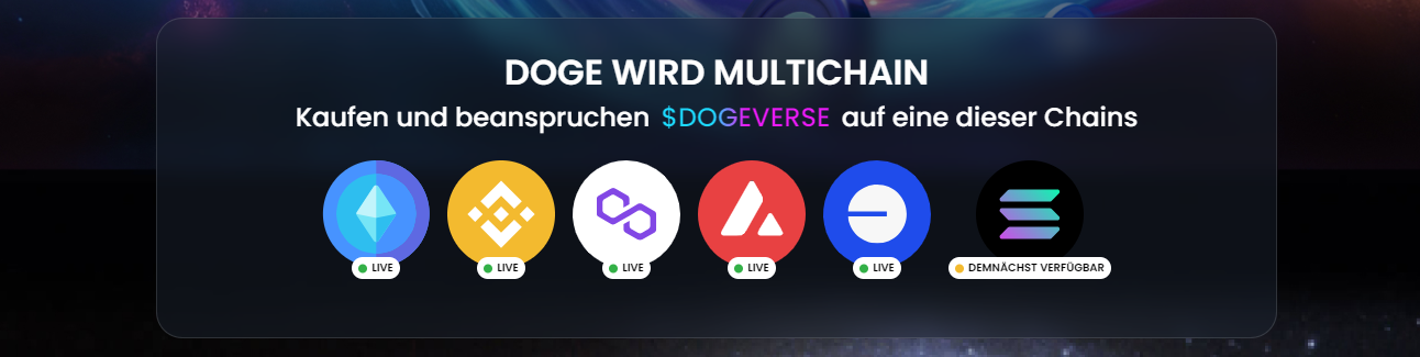 Dogeverse Multichain Ansatz