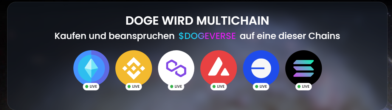 Dogeverse Multi Chain