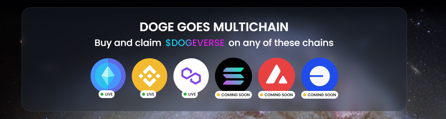 Multichain von Dogeverse