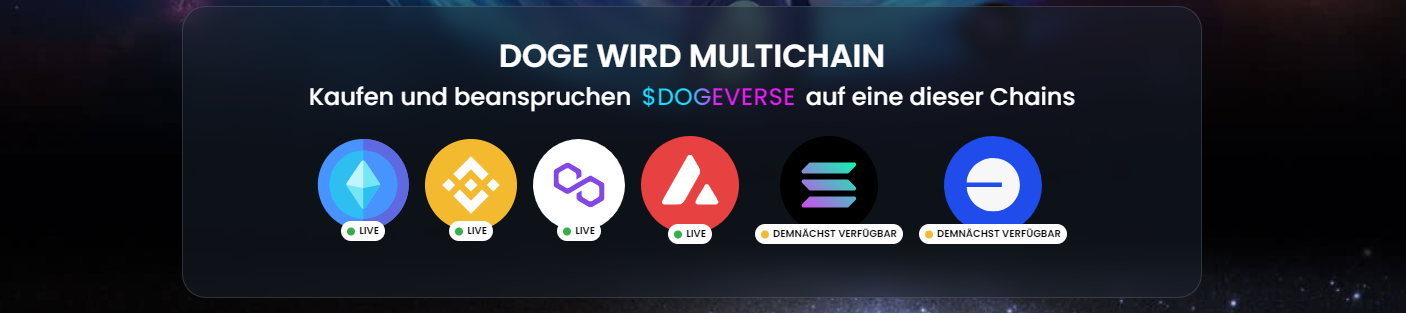 Dogeverse Multi Chain