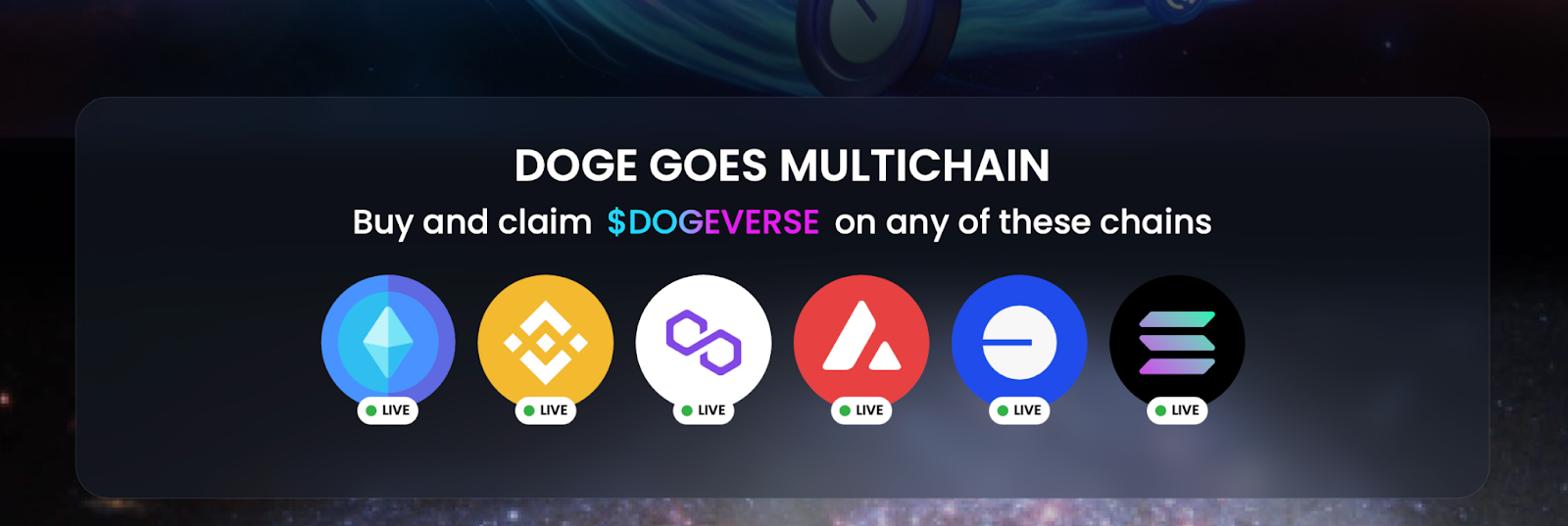 Dogeverse Multi Chain 