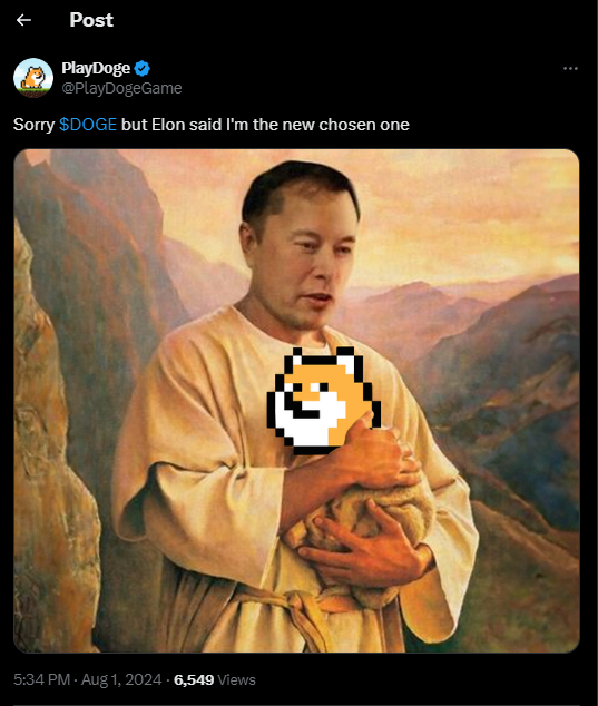 PlayDoge Elon Musk