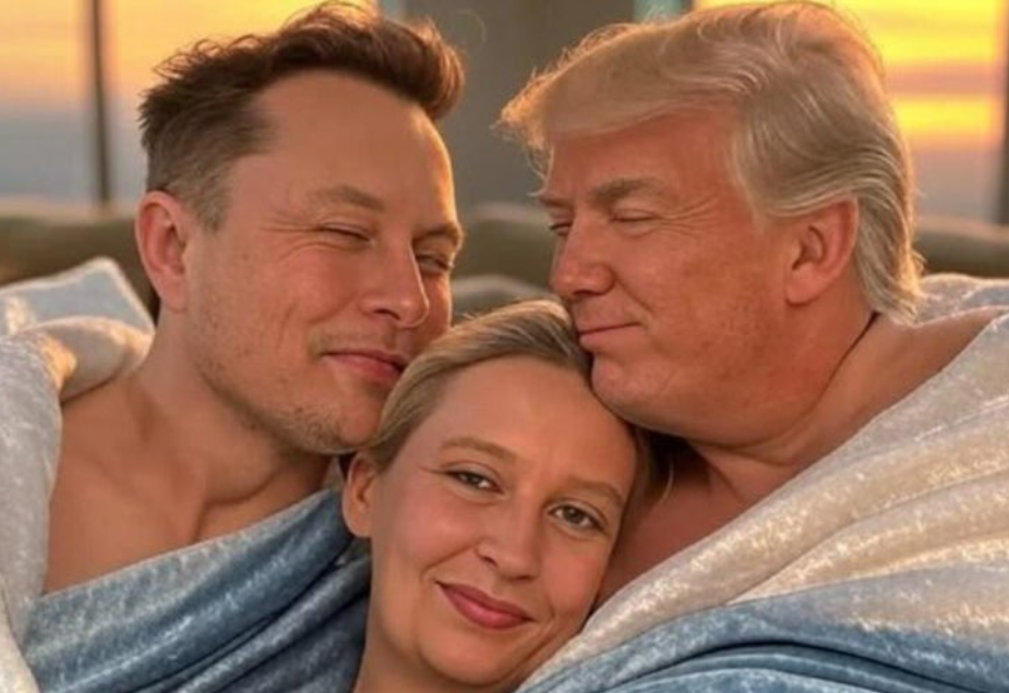 Memecoin Alice Weidel pumpt 247 % und nach Elon Musk Treffen am 9. Januar