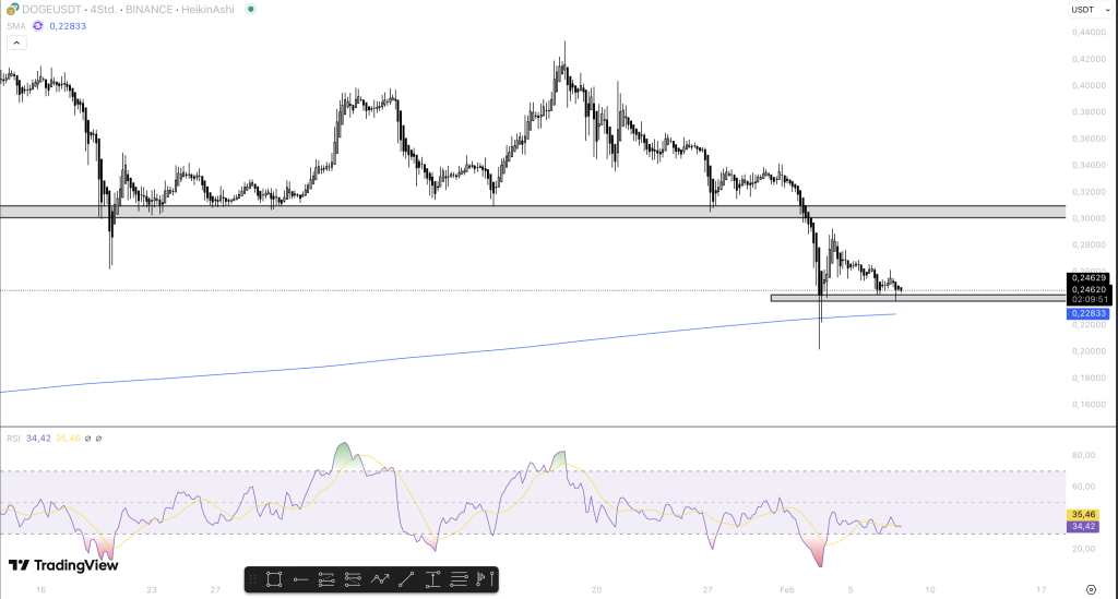 Dogecoin